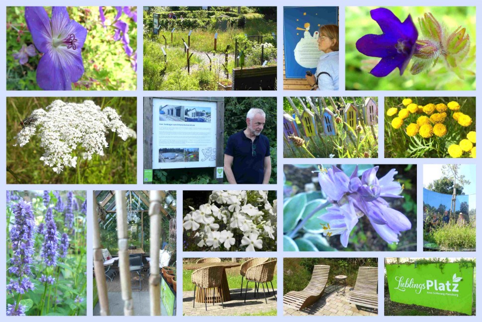 Es blüht prächtig im Arten Eden
