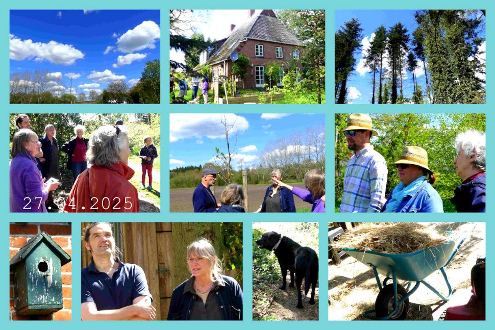 Vielältige Eindrücke im Garten in Lockstedt - Collage: Marianne Meiners, IZ Die Gartengruppe erfährt viel Interessantes im Lockstedter Garten